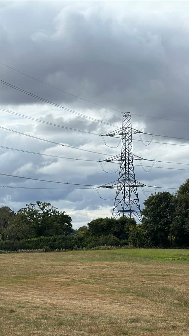 A pylon already situated in the Lower Frankton area