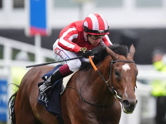 Bay City Roller and Oisin Murphy are on course for Champions Day
