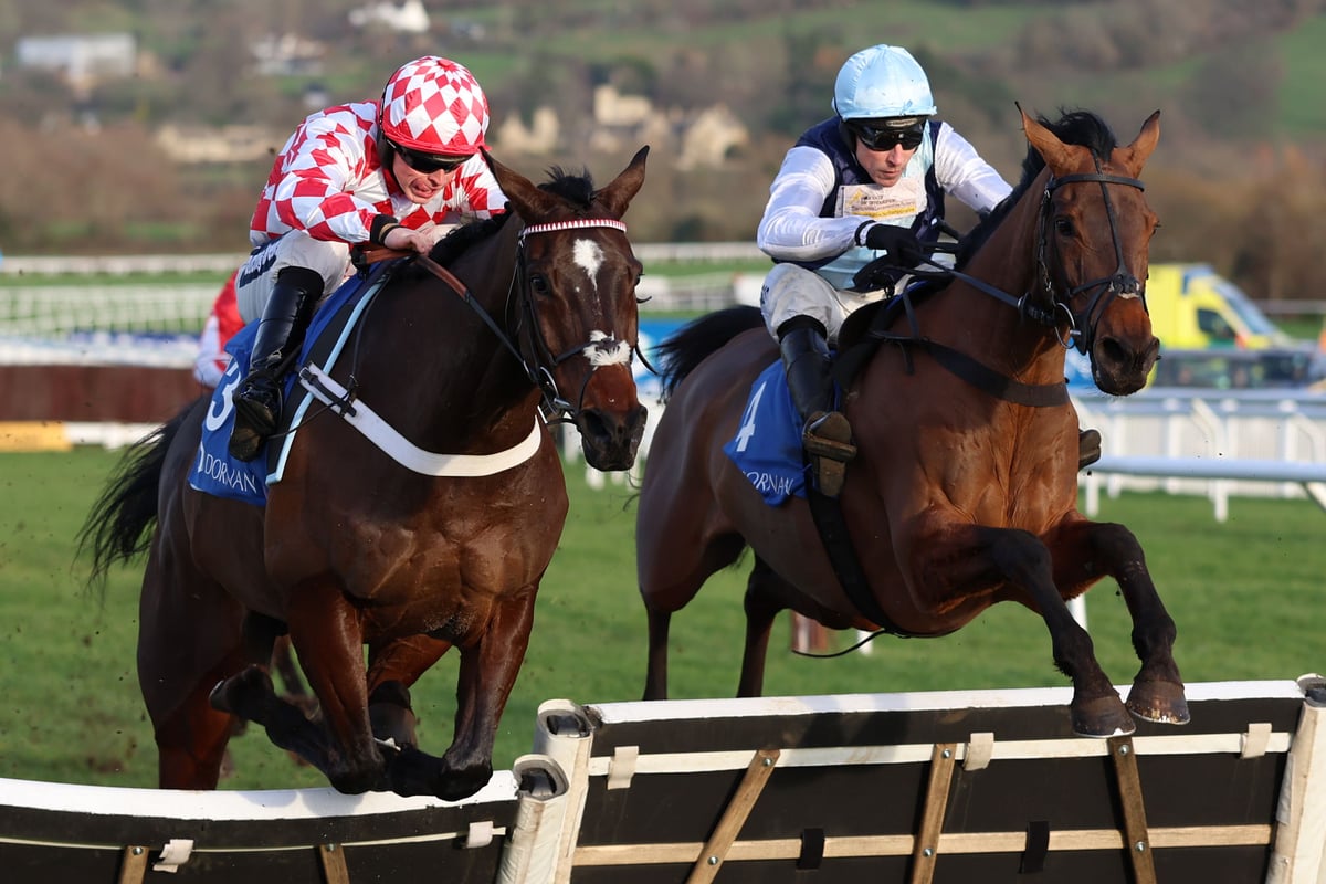 Kabral Du Mathan looks class act first time over fences
