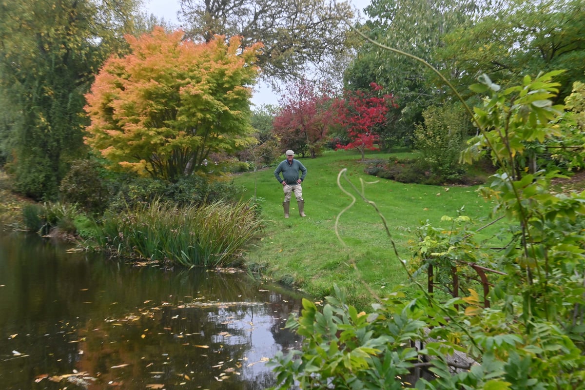 Stunning hidden gem offers colourful autumnal finale to Shropshire open garden season