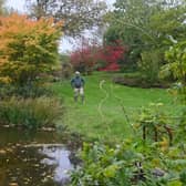 The Leasowes Garden and Arboretum, open for the NGS this saturday. Planted up by Robert Bland. On some his son Ross Bland is pictured and dog: Pushka.