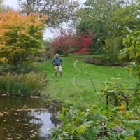 Stunning hidden gem offers colourful autumnal finale to Shropshire open garden season