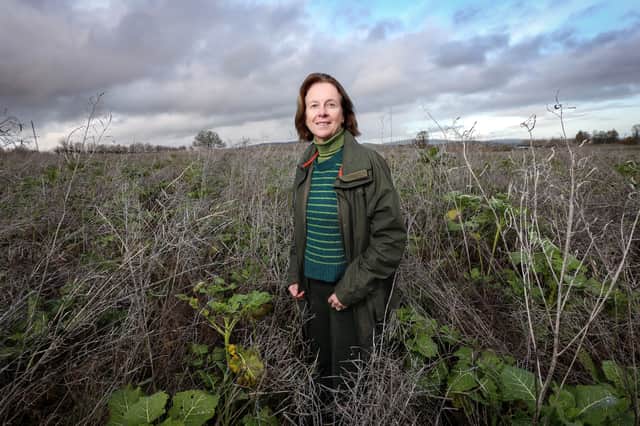 Jo Hilditch on her farm estate at Lyonshall near Kington