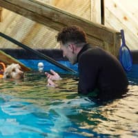 Telford doggy daycare firm invests in pool and expansion