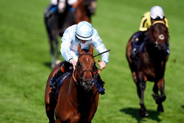 Amiloc is a former Ascot winner (John Walton/PA)