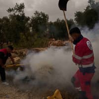 Israeli settlers attack Palestinians during olive harvest, says Red Crescent