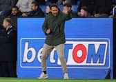 Wolves boss Cesar Peixoto