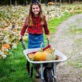 Porth Farm, Caersws, SY17 5SE is ready to welcome back families for its much-loved Pumpkin Patch with more than 55,000 pumpkins and gourds, a host of family-friendly activities and plenty of autumn magic.