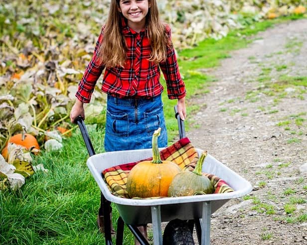 Porth Farm, Caersws, SY17 5SE is ready to welcome back families for its much-loved Pumpkin Patch with more than 55,000 pumpkins and gourds, a host of family-friendly activities and plenty of autumn magic.