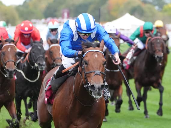 Ascot Races – Saturday October 17th