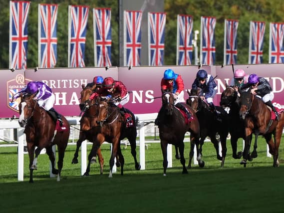 Ascot Races – Saturday October 17th