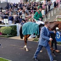 Japan Cup next for Calandagan after gallant Champion Stakes effort