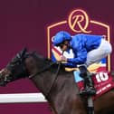 Ascot Races – Saturday October 17th