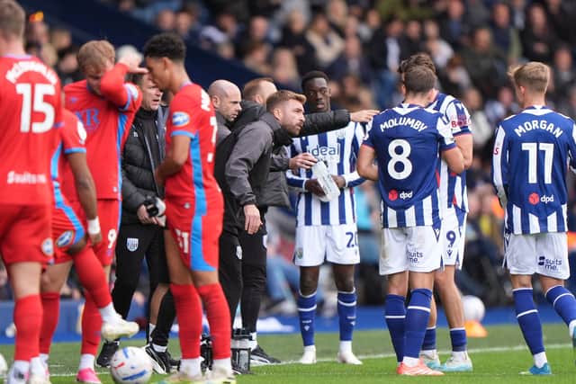 James Morrison has guided Albion to a fine start.