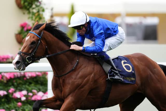 Ombudsman winning at Royal Ascot in June (Mike Egerton/PA)