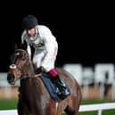 Constitution Hill and Oisin Murphy at Southwell