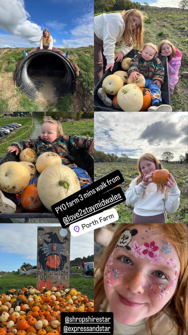 Pumpkin picking at Porth Farm