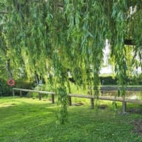 New Whitchurch camping site approved plus all the latest Shropshire Council planning applications