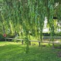 Fencing has been installed along the canal bank of the Grindley Brook site