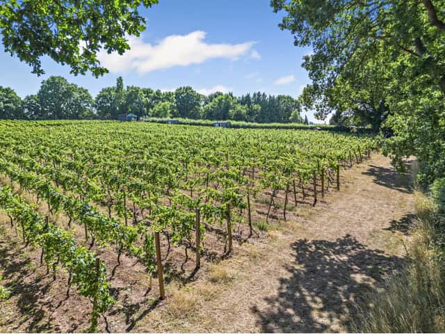 Astley Vineyard near Stourport-on-Severn