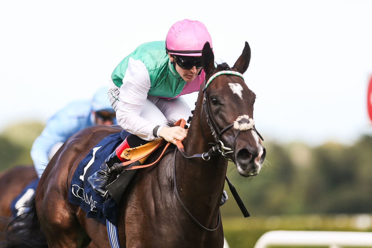 Blue Bolt to spearhead Juddmonte Breeders’ Cup squad