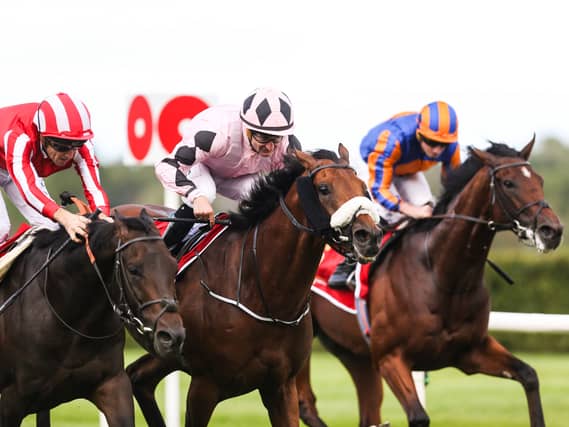 Hotazhell, centre, winning the Irish Champion Stakes