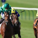 Burning Up, right, chases home Haffner at Newmarket