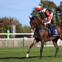 Boughey relishing overseas assignments