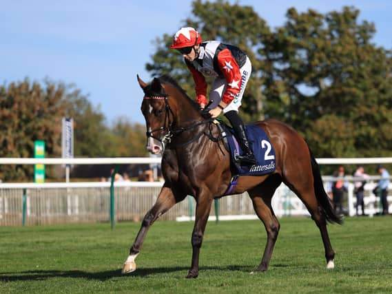 Libertango and Billy Loughnane at Newmarket