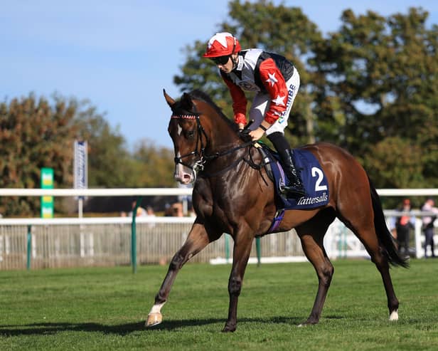Libertango and Billy Loughnane at Newmarket