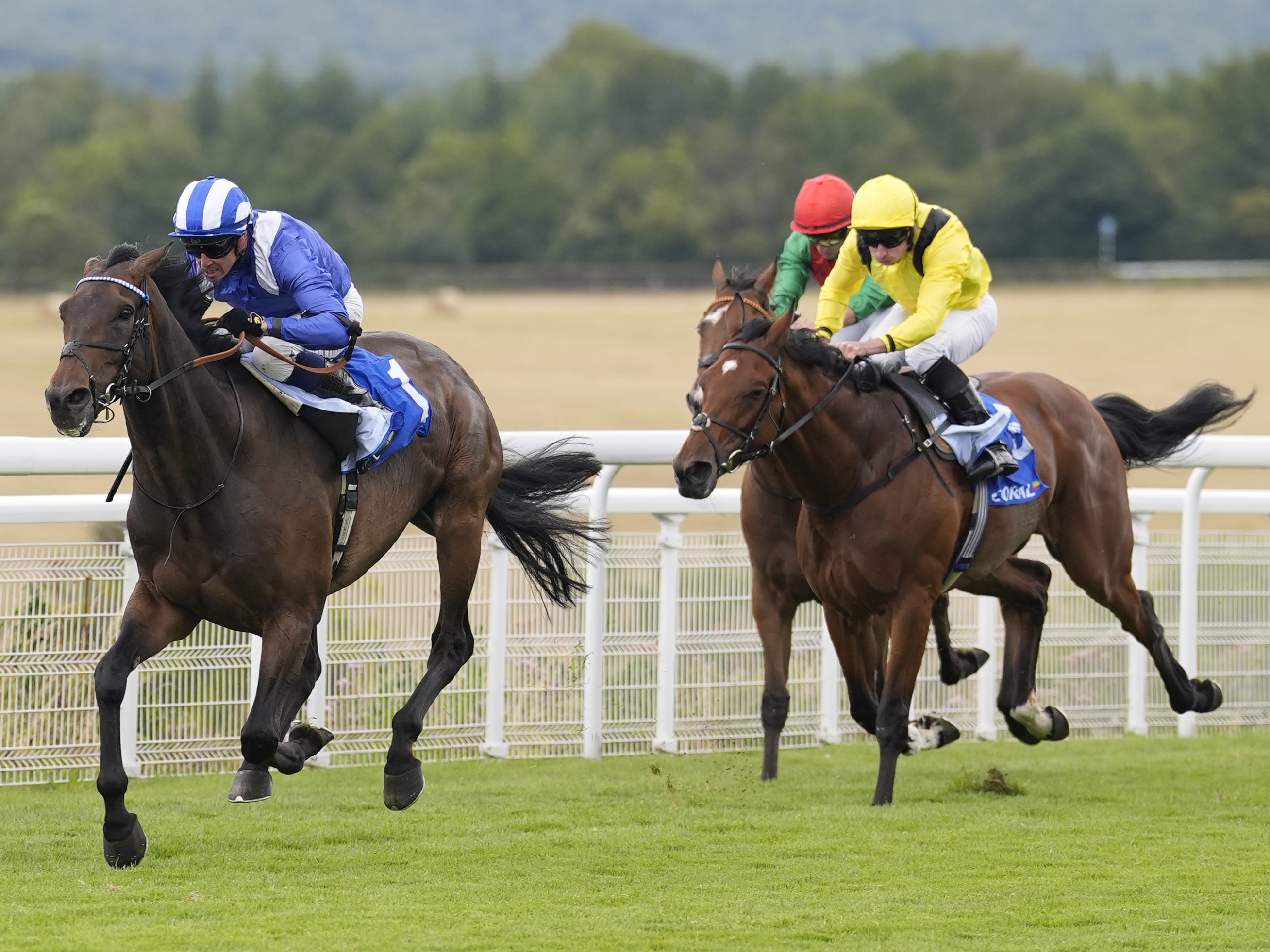 Testing ground could see Al Aasy bypass Newbury