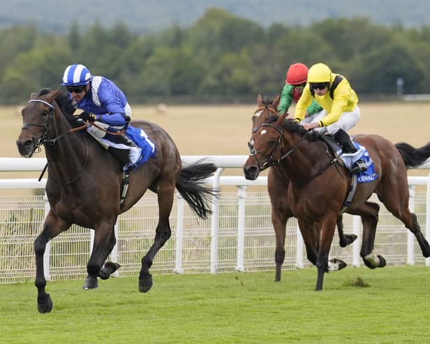 Al Aasy may be forced to miss Newbury this weekend