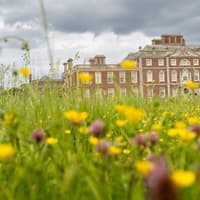 Wildlife bucks challenges with 5,000 species recorded at National Trust estate