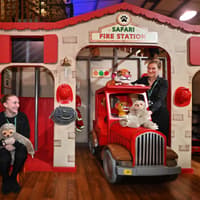Telford soft play centre opens new safari-themed attraction