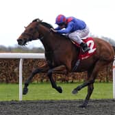 Dubai Honour will take on Constitution Hill in Italy