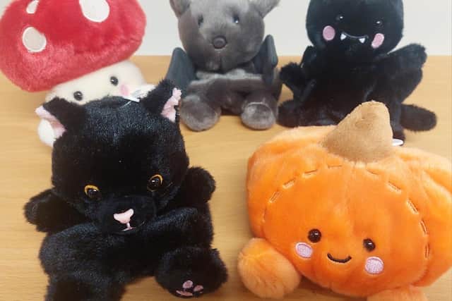 The Halloween creatures from the natural world that will be hiding at y Gaer.