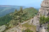 A proposal for a new National Park in north east Wales which includes a small part of Powys now looks set to be scrapped. 