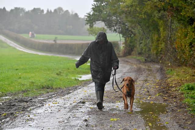 Weather: Wrottersley Park Road, Perton. Roscoe the dog out for his walk.