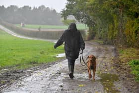Weather: Wrottersley Park Road, Perton. Roscoe the dog out for his walk.