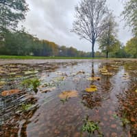 Storm Boelo: Caution urged amid flood alert for the River Severn in Shropshire