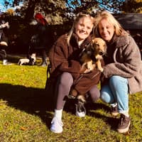 Watch: Adorable sausage dogs go for Halloween walkies in Shrewsbury
