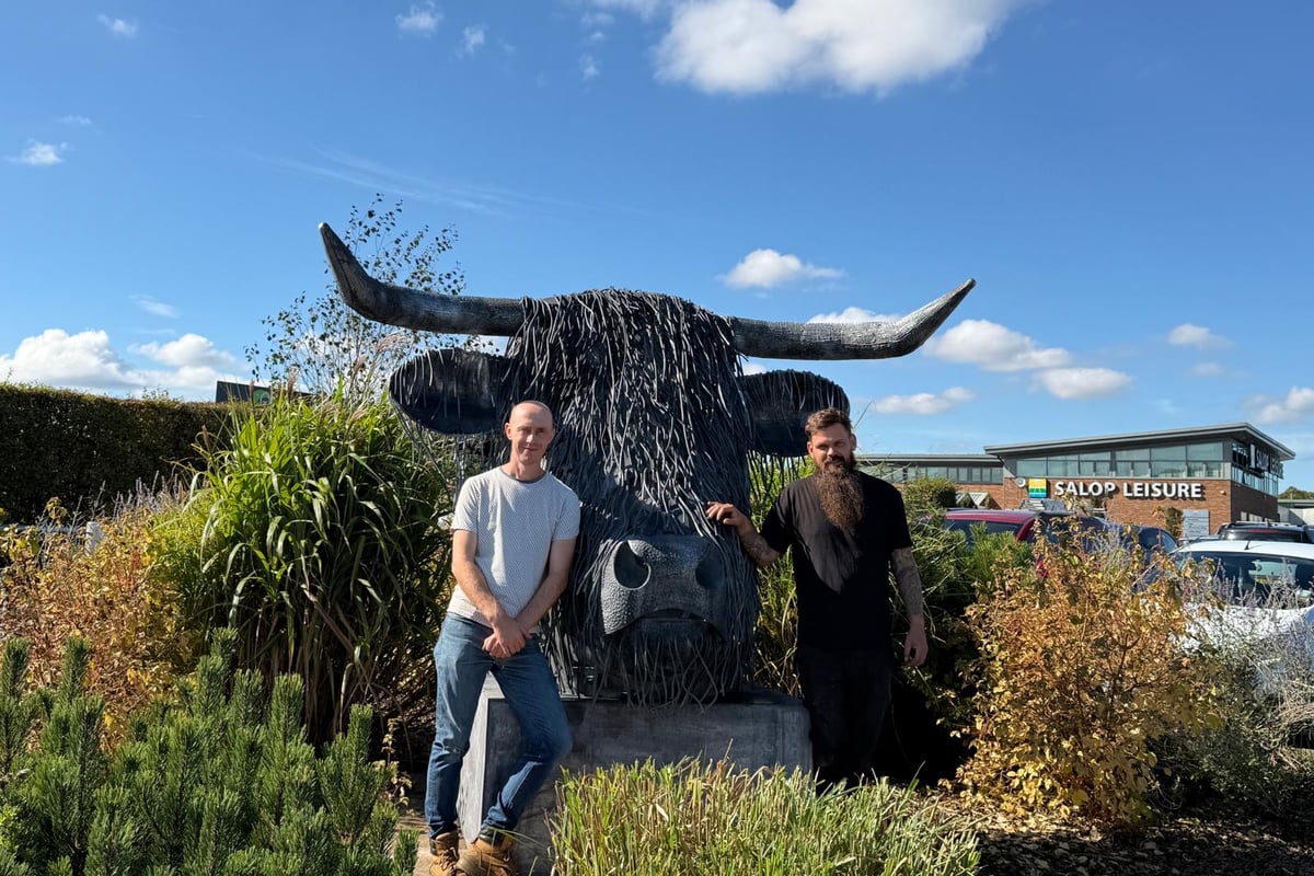 Gruff the Highland Cow replaces landmark dragonfly outside Shropshire business