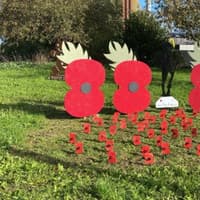 Shropshire prisoners create more than 200 handmade poppies for Remembrance commemorations