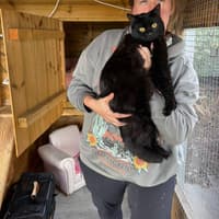 ‘Heartbreaking’ - Cat found alive after being trapped in dead man’s Shrewsbury home for weeks