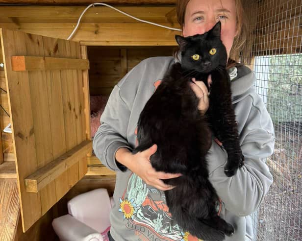 A member of the rescue team with Nibbles