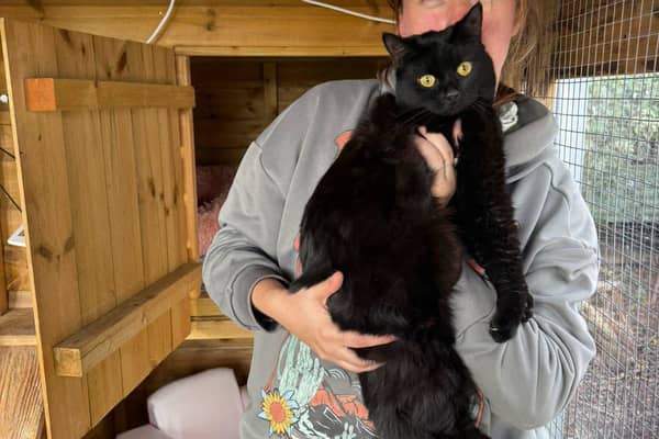 A member of the rescue team with Nibbles