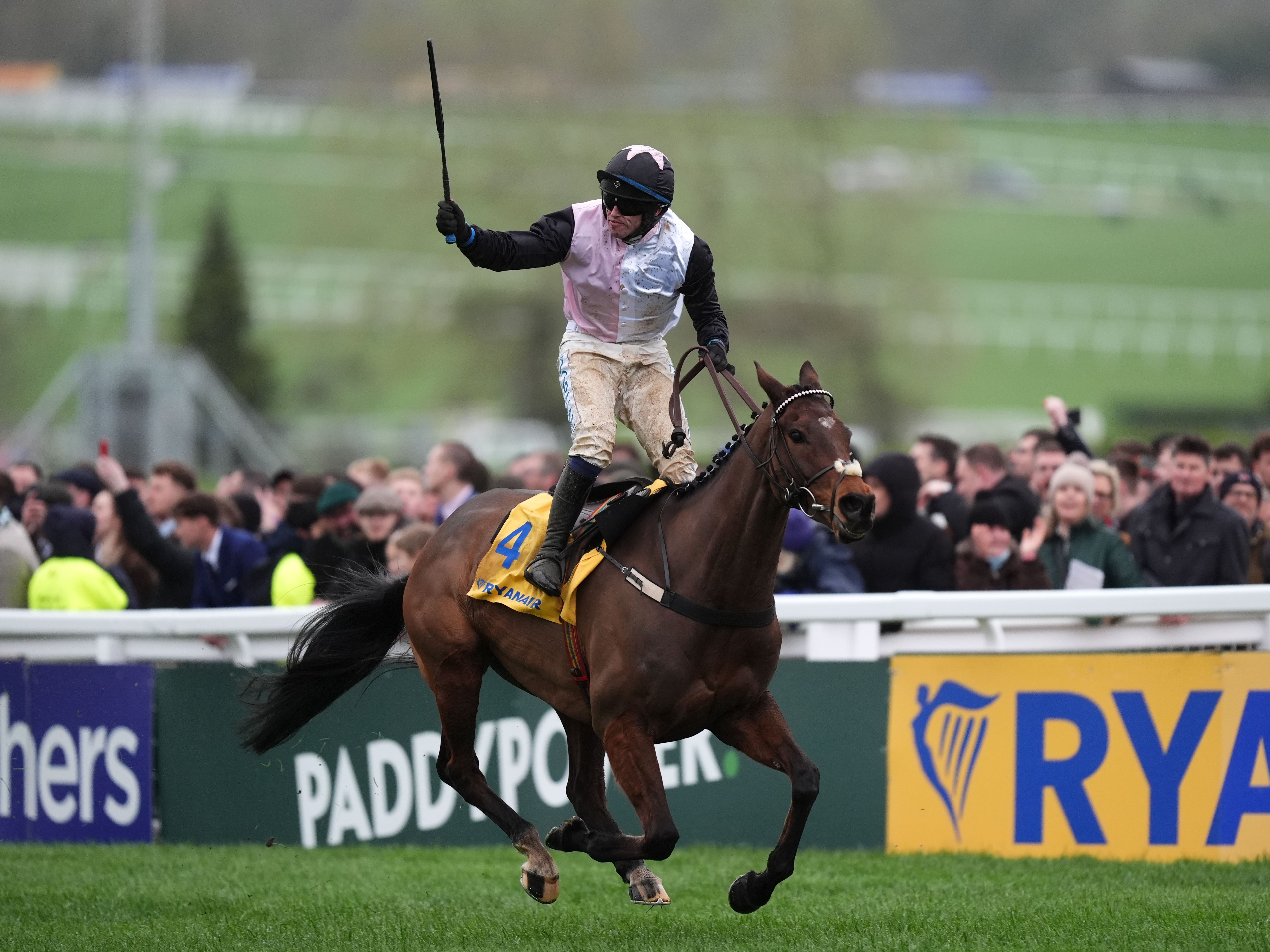 Heart Wood could be the one to beat at Down Royal