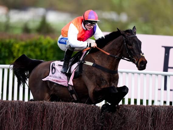 Haiti Couleurs will have the assistance of a top Irish jockey