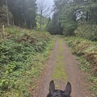Landowners at a Shropshire beauty spot 'remain concerned' over bridleways decision