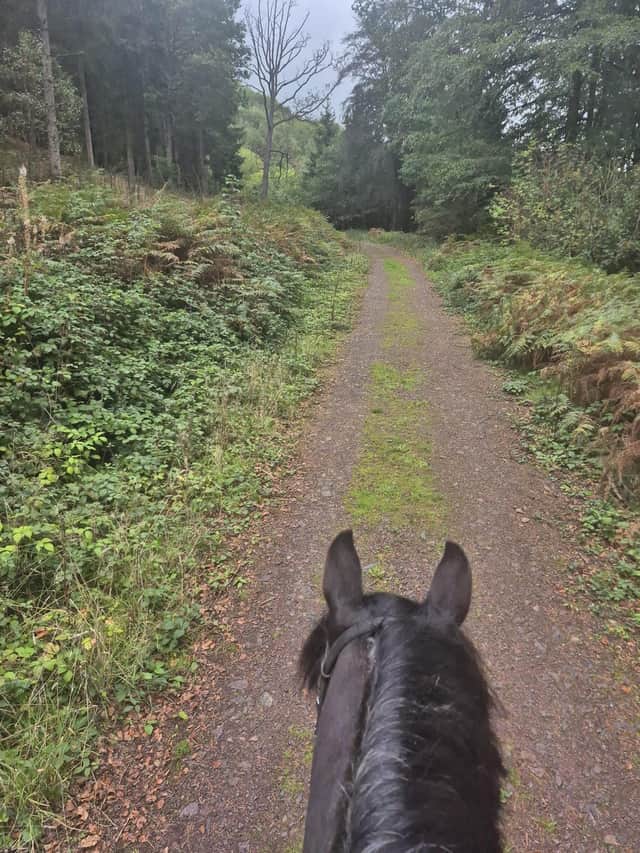 Horse riding on The Wrekin
